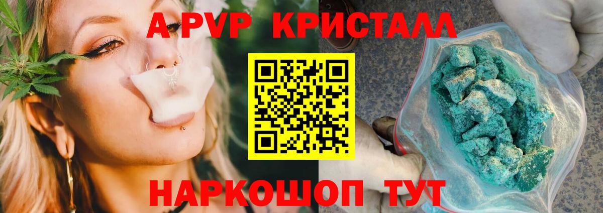 Alfa_PVP крисы CK  А ПВП СК  Вход с VPN  Альфа ПВП Соль  Междуреченск 