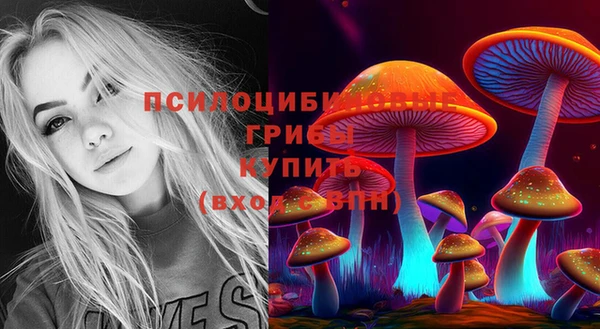дживик Алексин