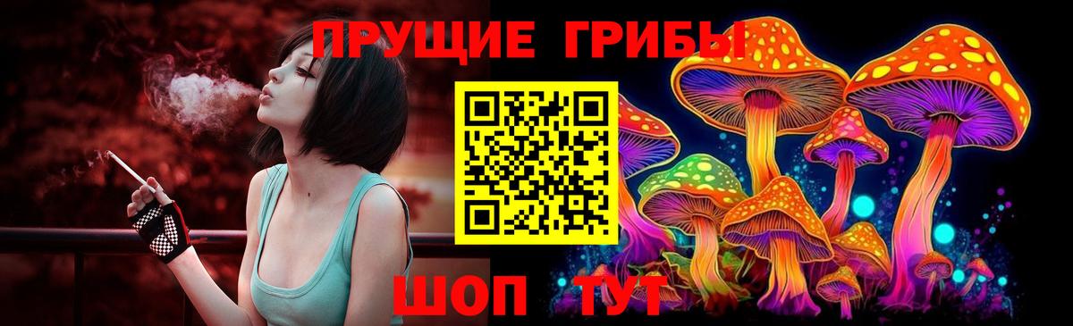 Междуреченск  наркошоп  Псилоцибиновые грибы мицелий  Вход с VPN  Псилоцибиновые грибы Magic Shrooms 