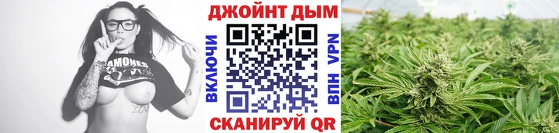Каннабис Amnesia  купить закладку  Междуреченск 